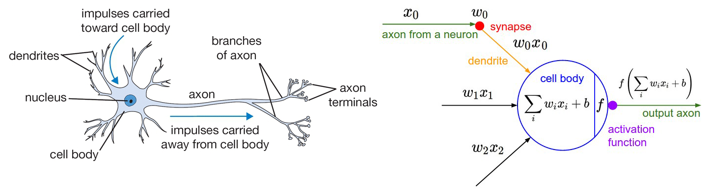 图1 神经元模型
